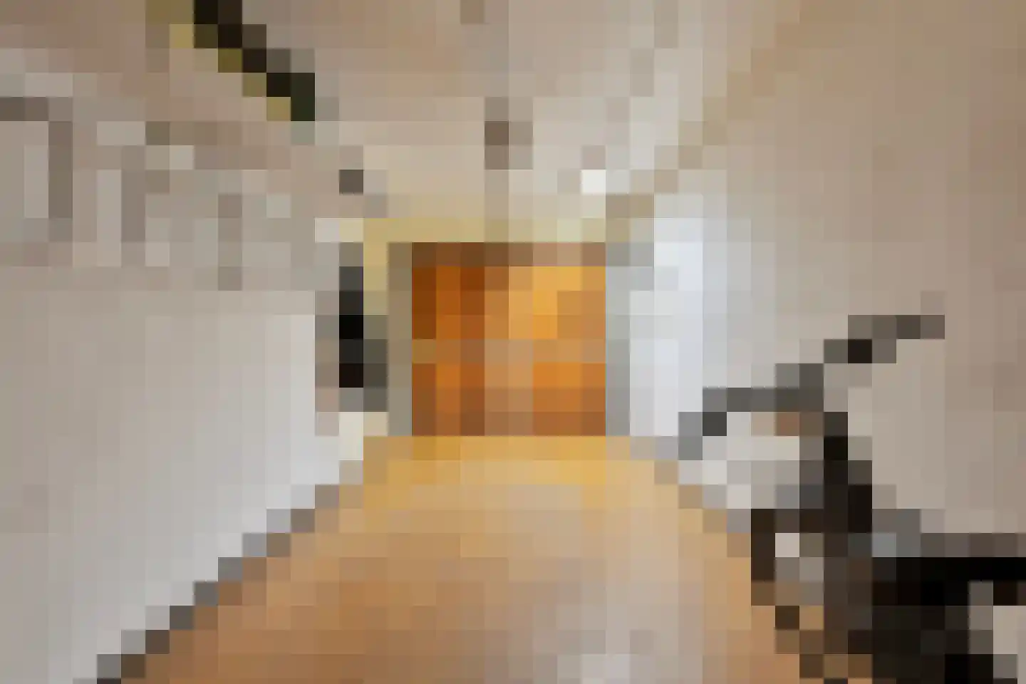 Emmalaan 28 Schijndel thumbnail 30
