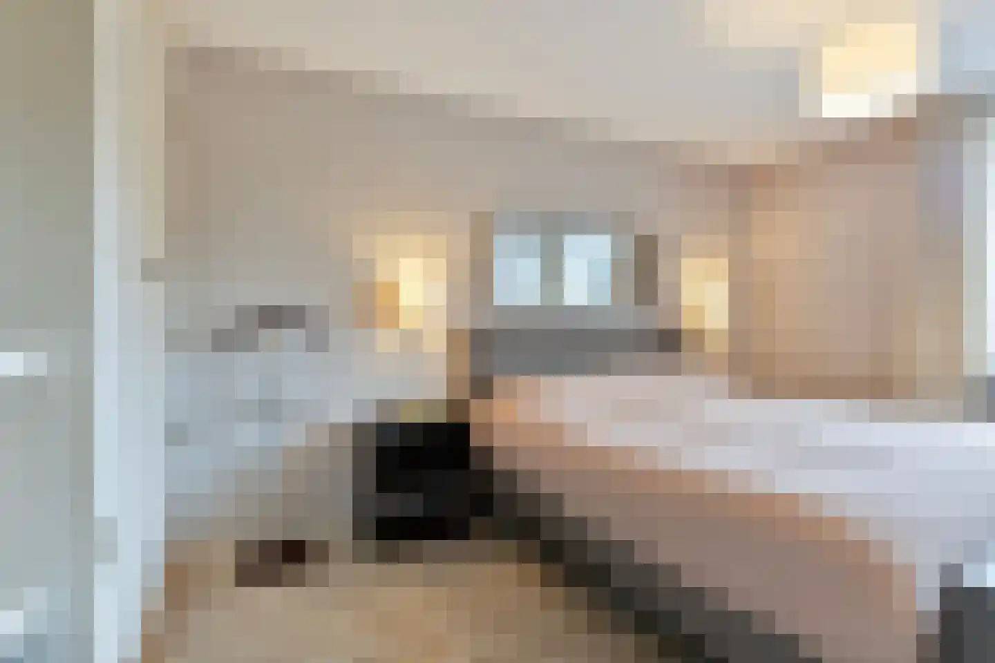 Emmalaan 28 Schijndel thumbnail 37
