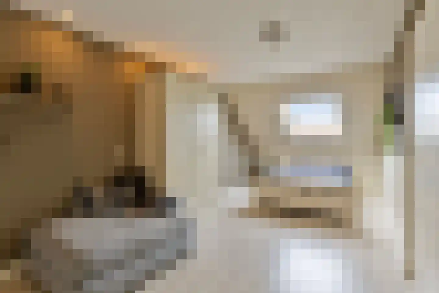 Emmalaan 28 Schijndel thumbnail 8