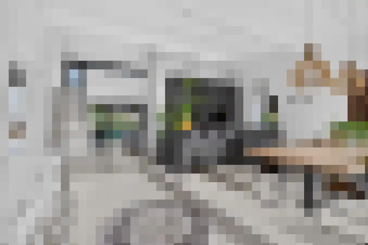 Emmalaan 29 Deurne thumbnail 20