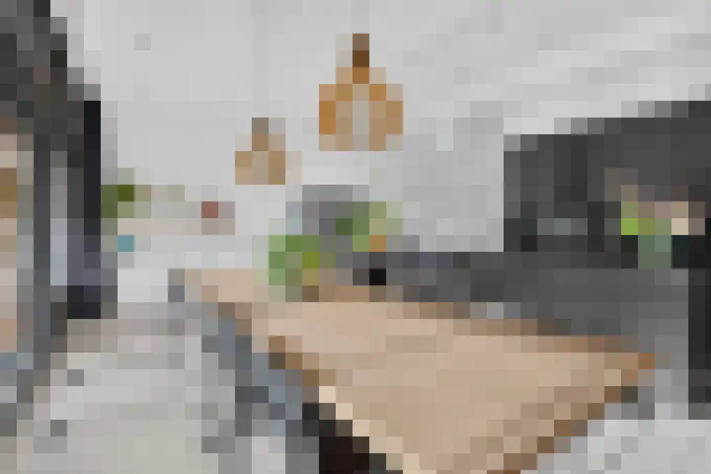 Emmalaan 29 Deurne thumbnail 24