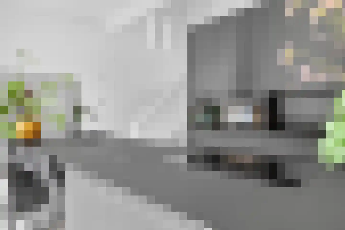 Emmalaan 29 Deurne thumbnail 25