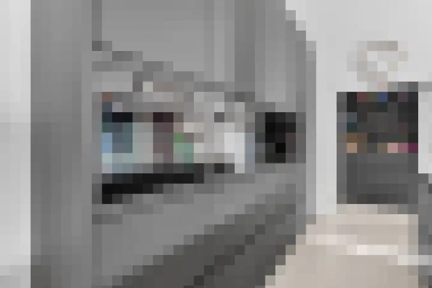 Emmalaan 29 Deurne thumbnail 27