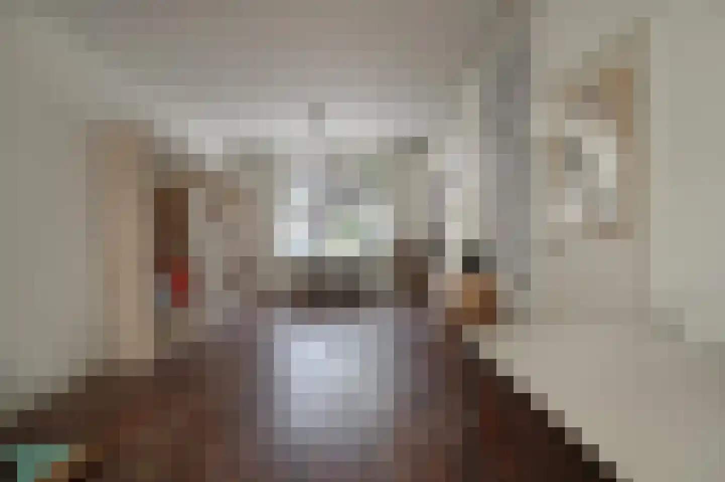 Emmalaan 3 Alphen aan den Rijn thumbnail 8
