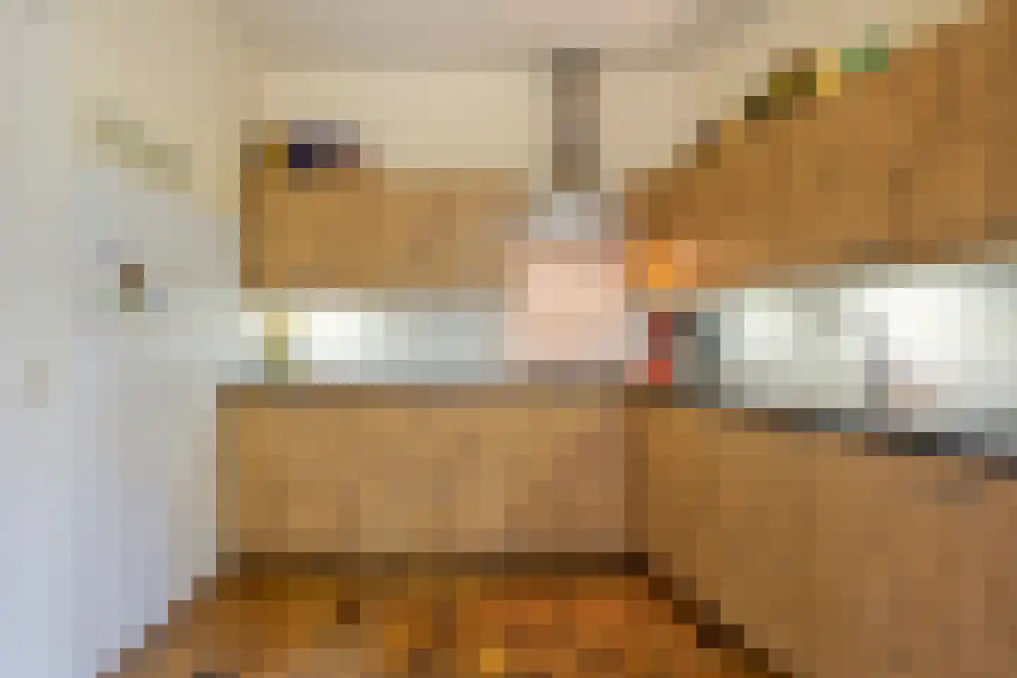 Emmalaan 3 Hulst thumbnail 12