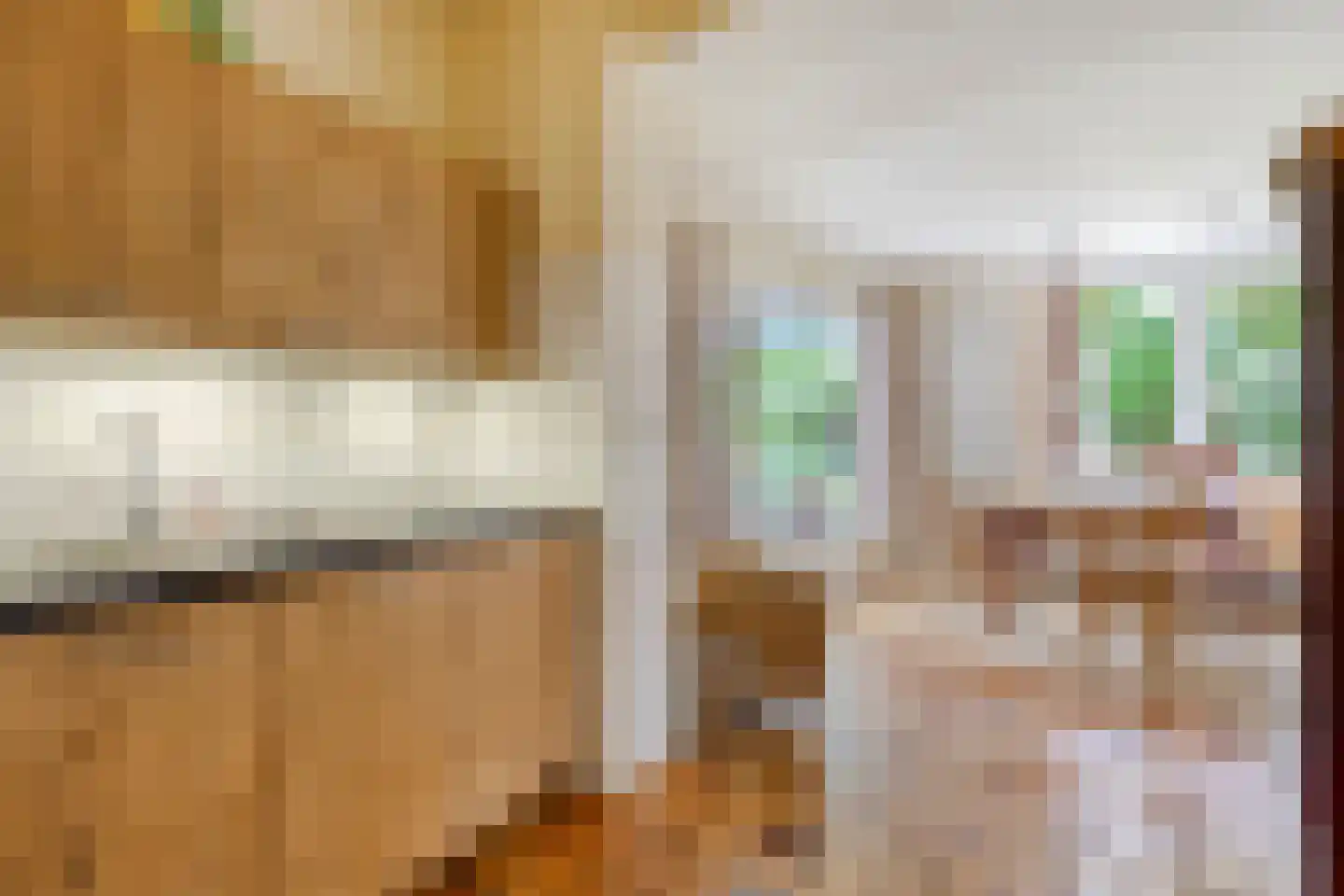 Emmalaan 3 Hulst thumbnail 13