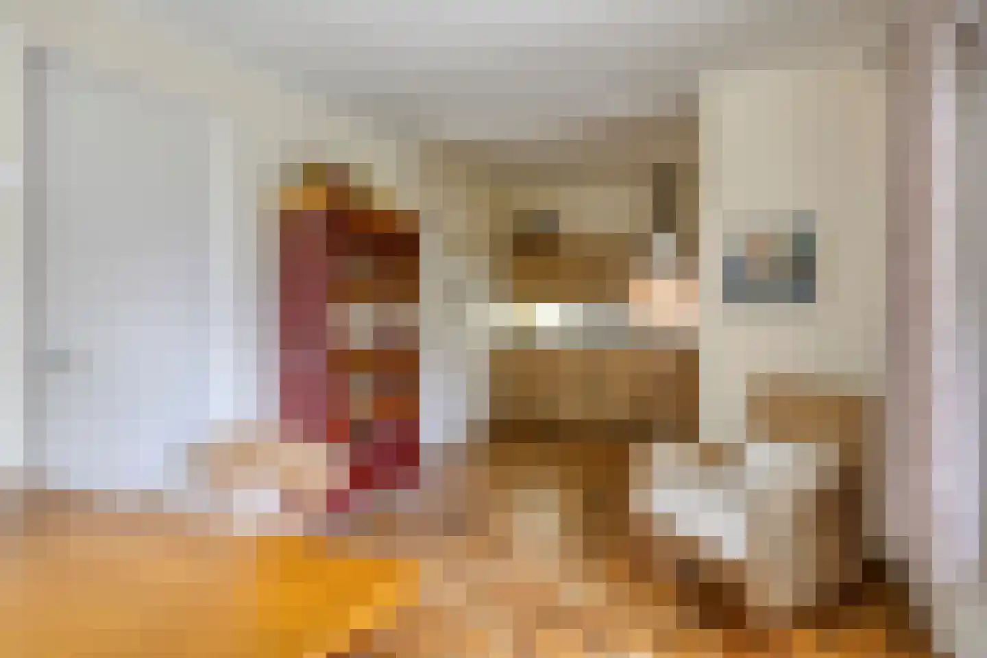 Emmalaan 3 Hulst thumbnail 15
