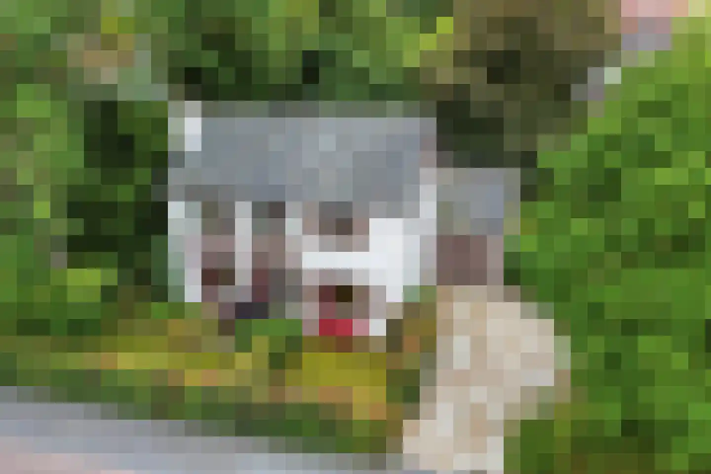 Emmalaan 3 Hulst foto 2