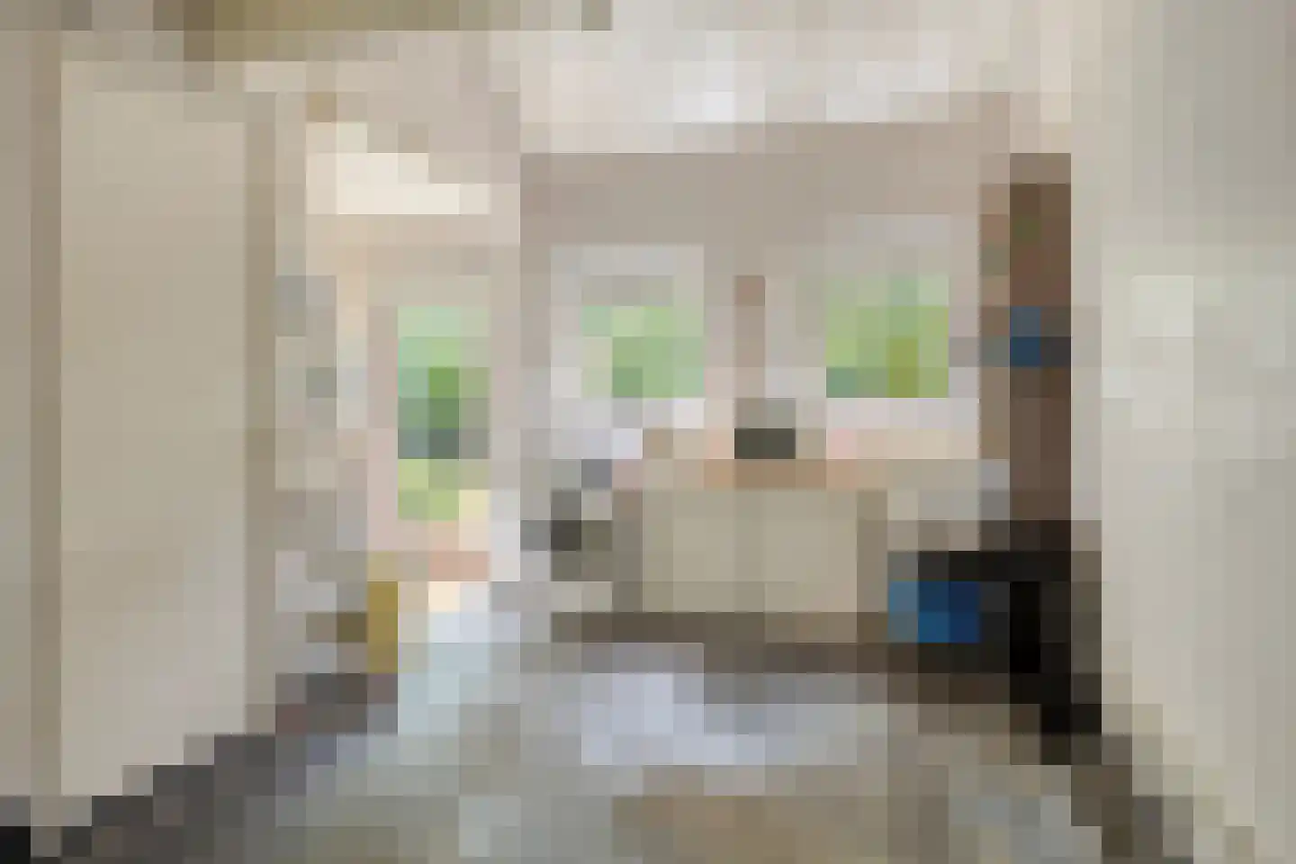 Emmalaan 3 Hulst thumbnail 27
