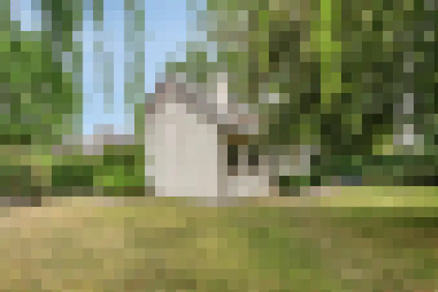 Emmalaan 3 Hulst thumbnail 32