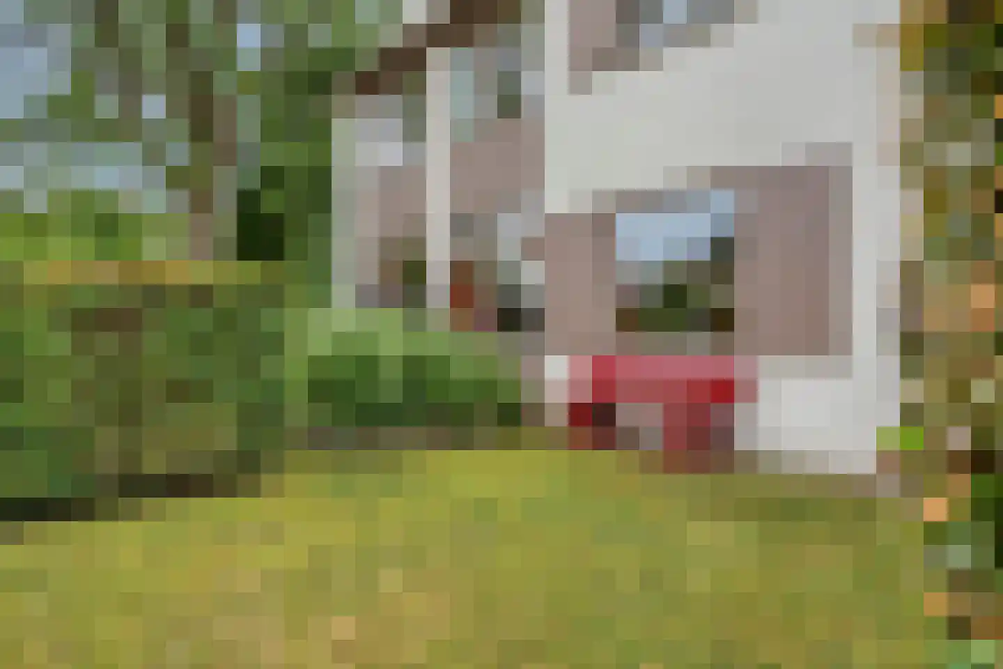 Emmalaan 3 Hulst thumbnail 33