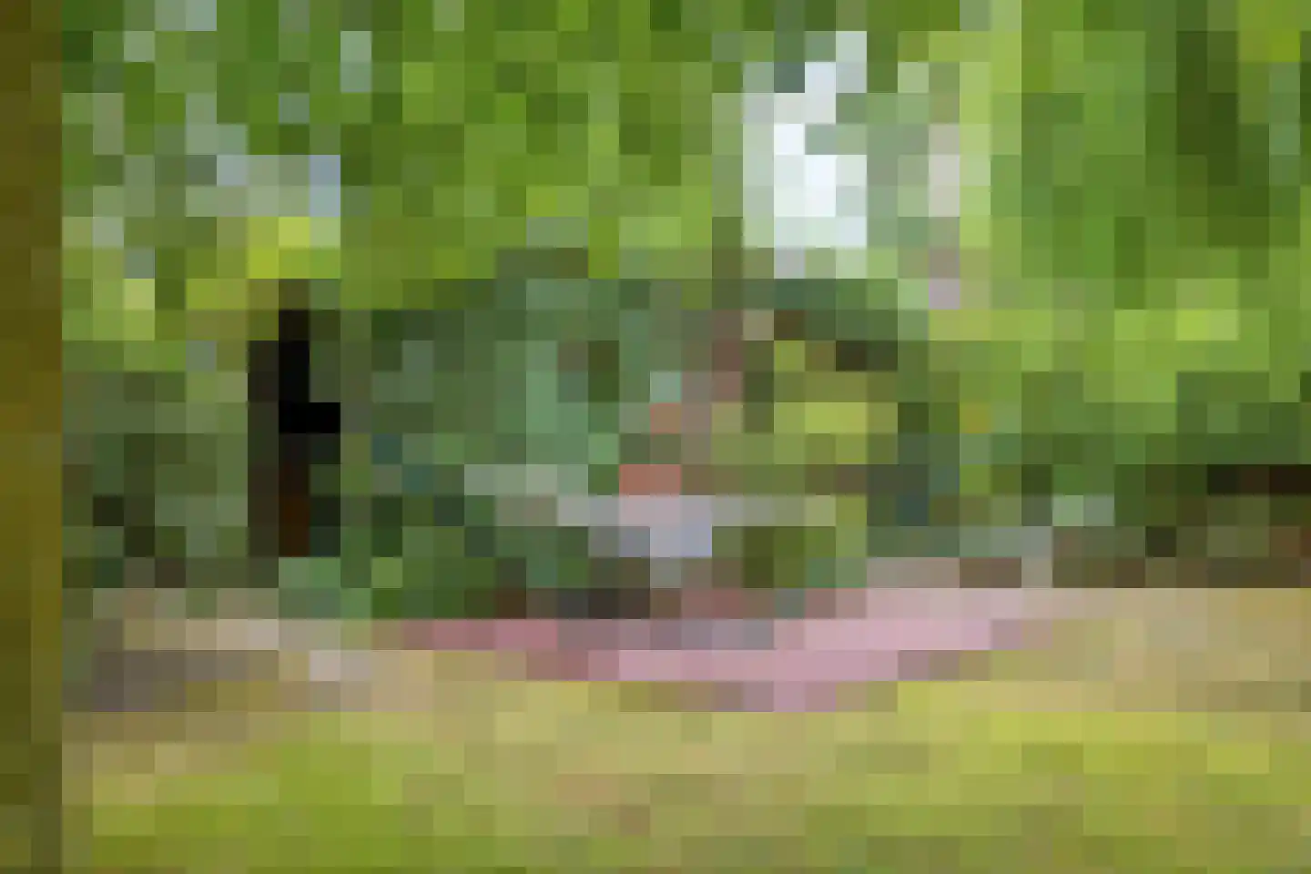 Emmalaan 3 Hulst thumbnail 36