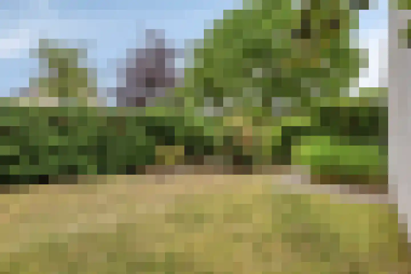 Emmalaan 3 Hulst thumbnail 37