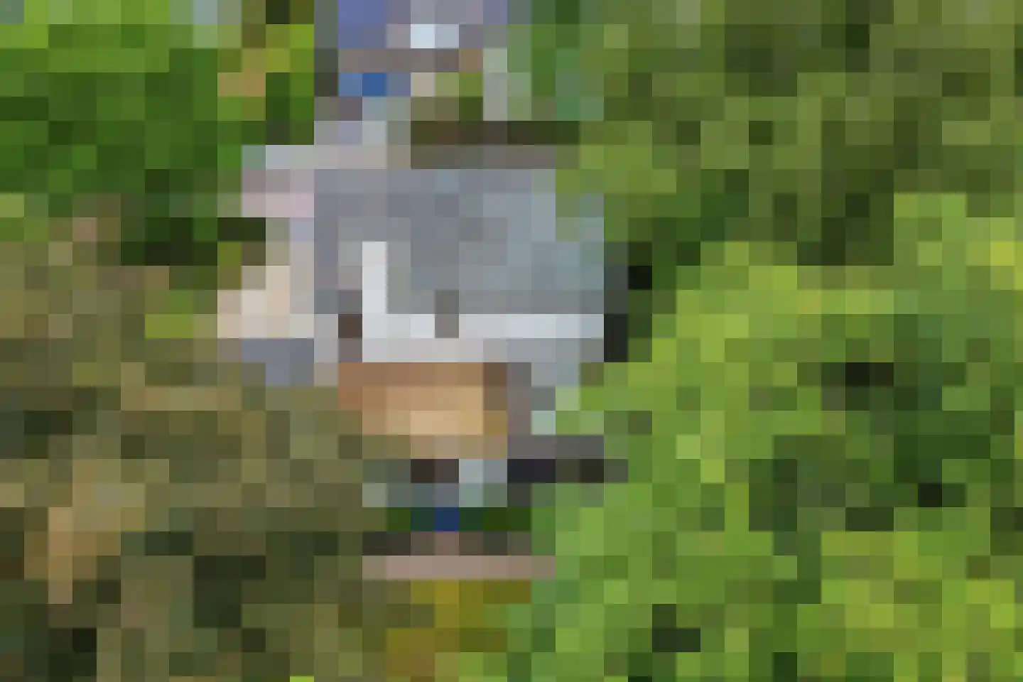 Emmalaan 3 Hulst thumbnail 38
