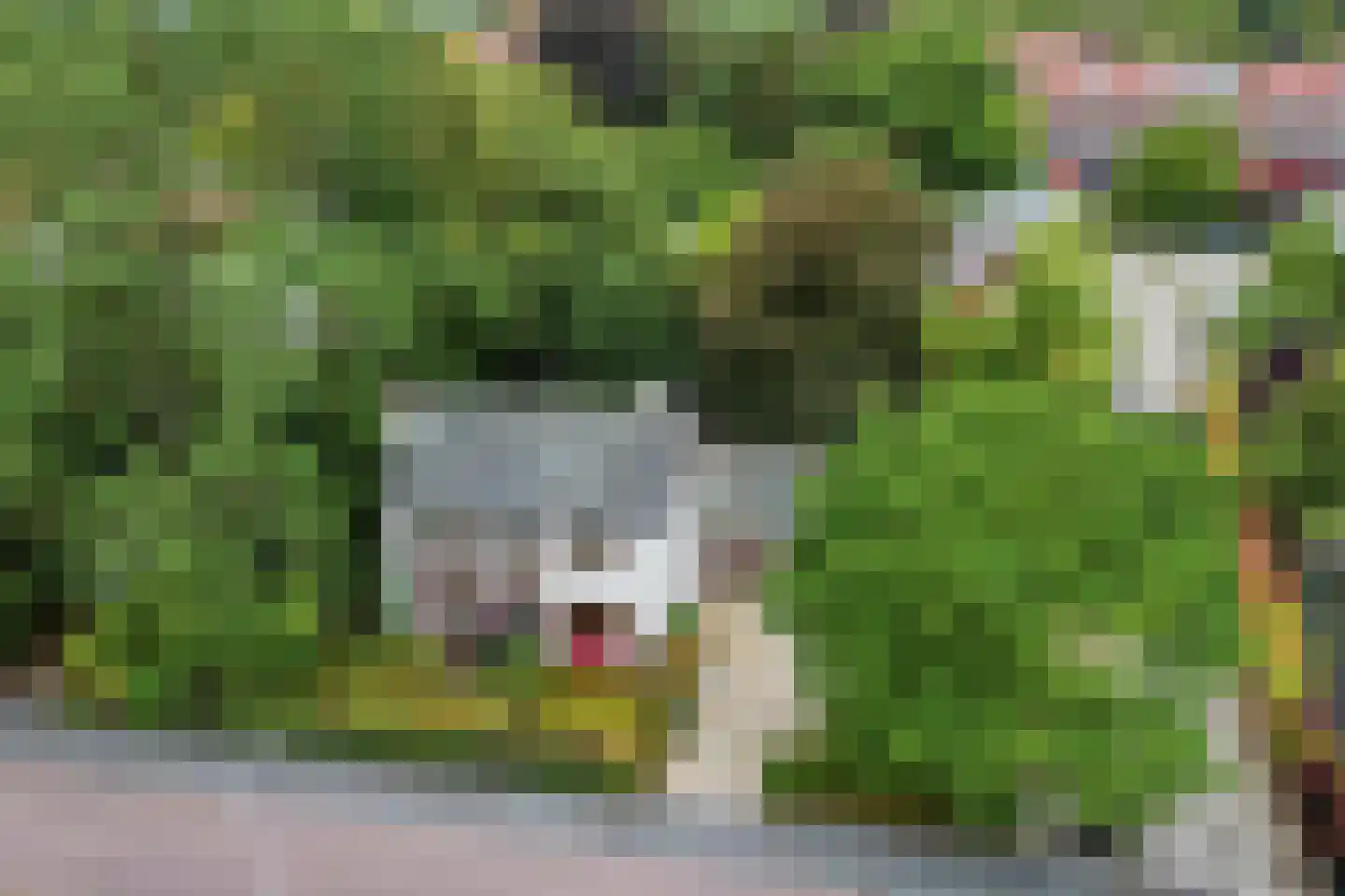 Emmalaan 3 Hulst thumbnail 39