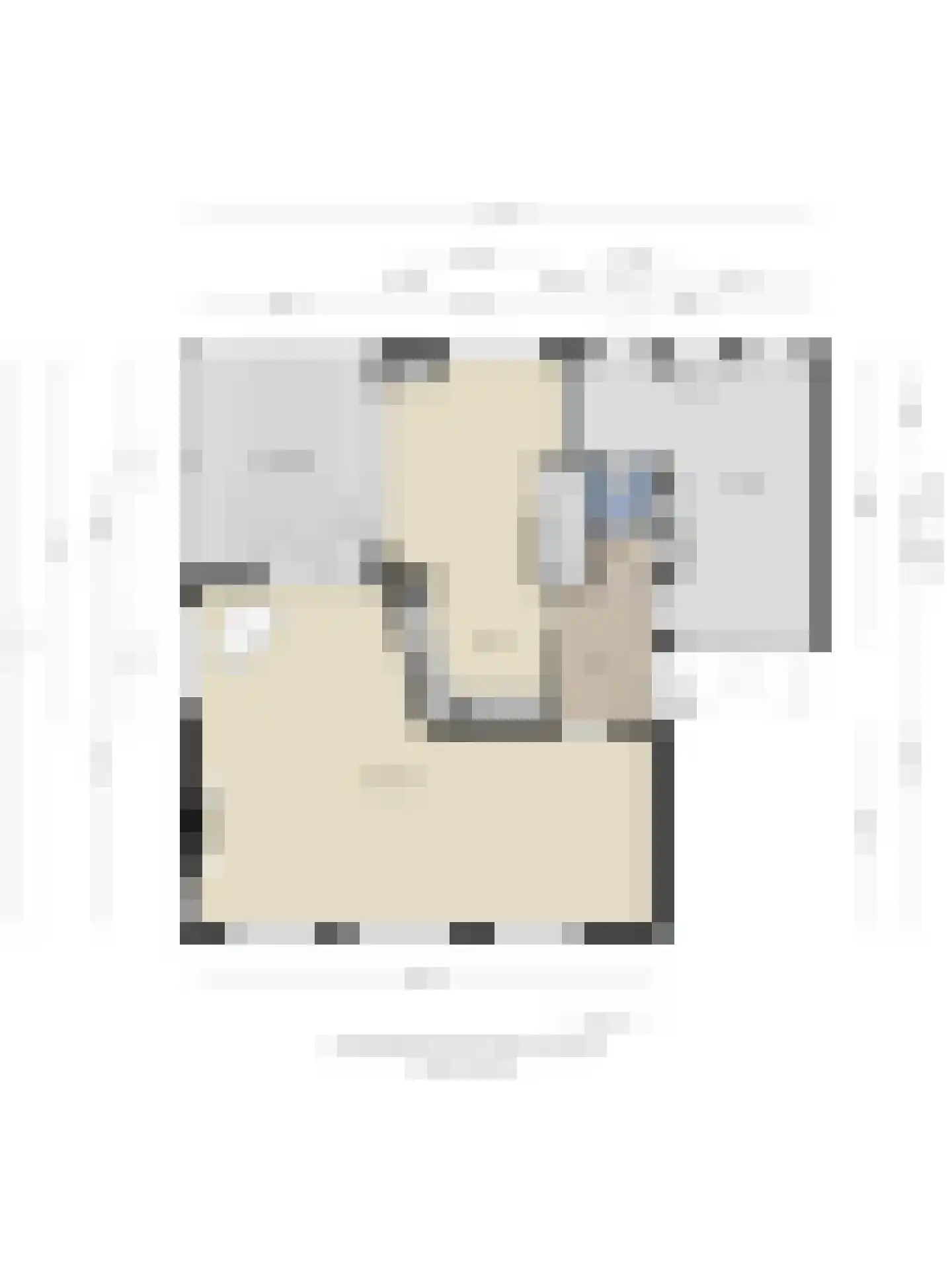 Emmalaan 3 Hulst thumbnail 40