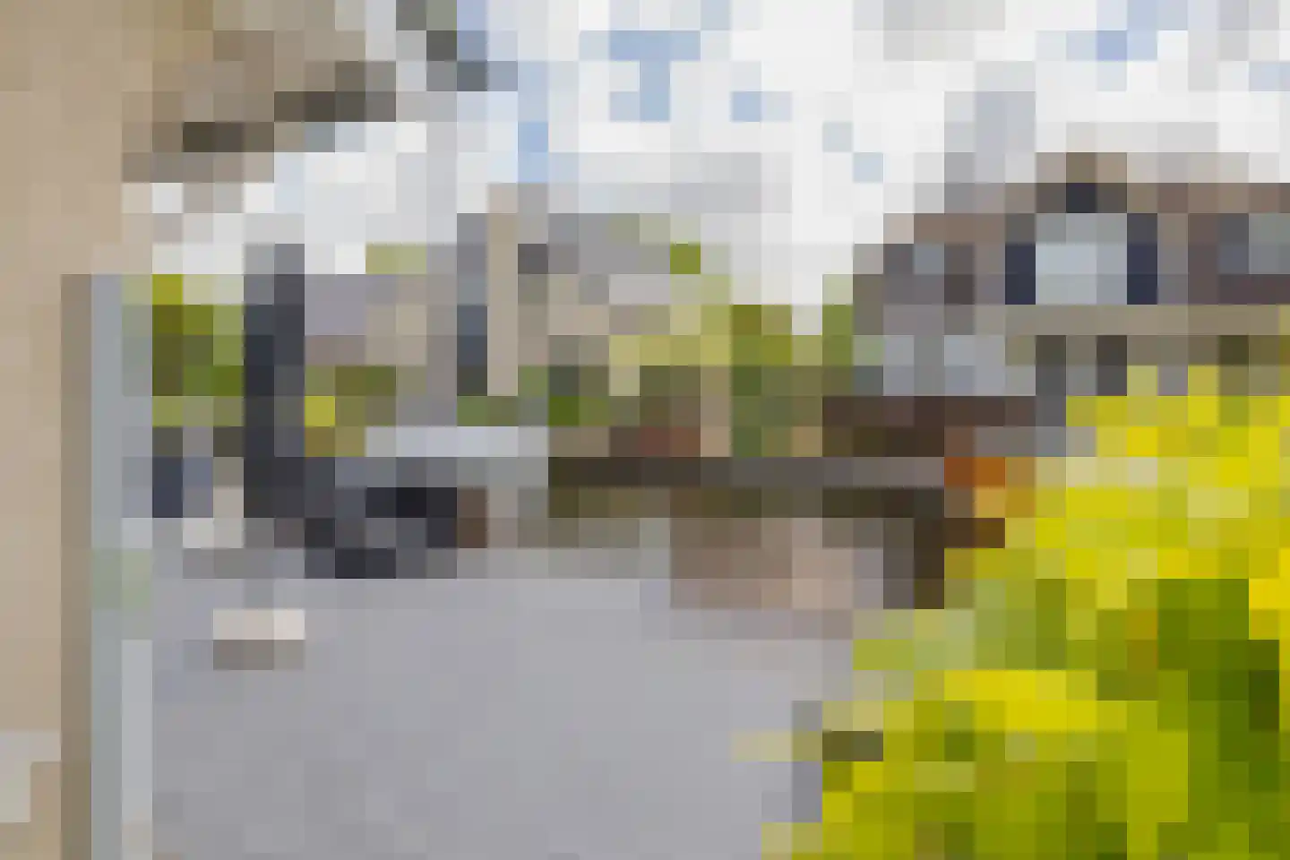 Emmalaan 3 Kaag thumbnail 18