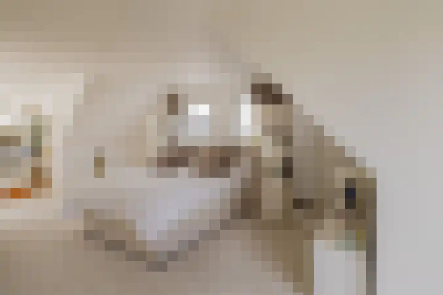 Emmalaan 3 Kaag thumbnail 25