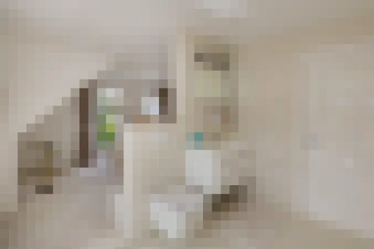 Emmalaan 3 Kaag thumbnail 29