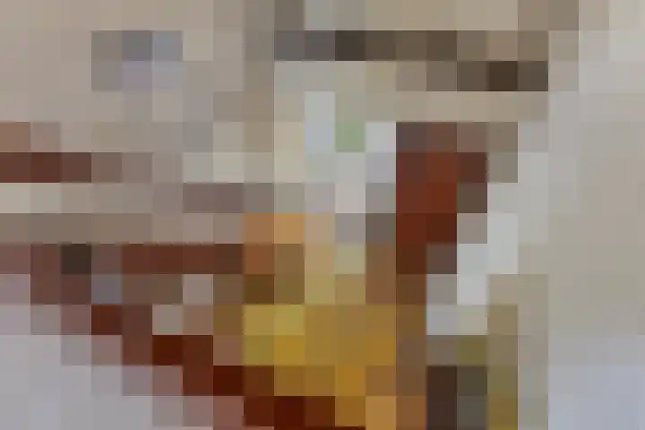 Emmalaan 3 Wognum thumbnail 10