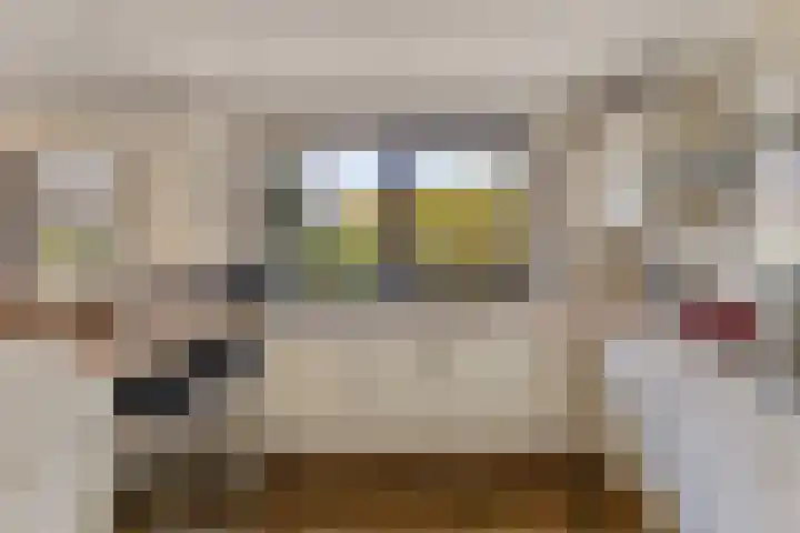 Emmalaan 3 Wognum thumbnail 20