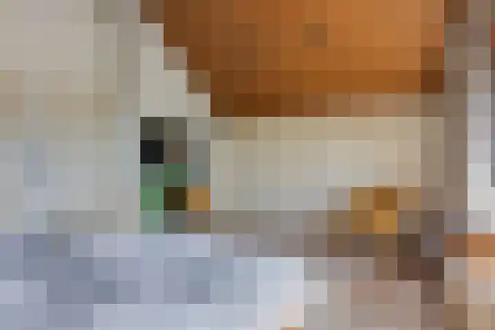 Emmalaan 3 Wognum thumbnail 32