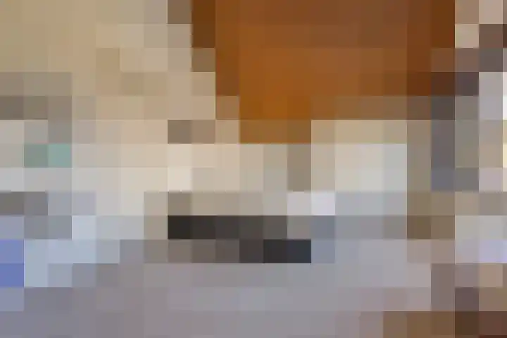 Emmalaan 3 Wognum thumbnail 36