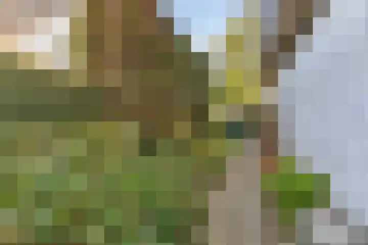 Emmalaan 3 Wognum thumbnail 49