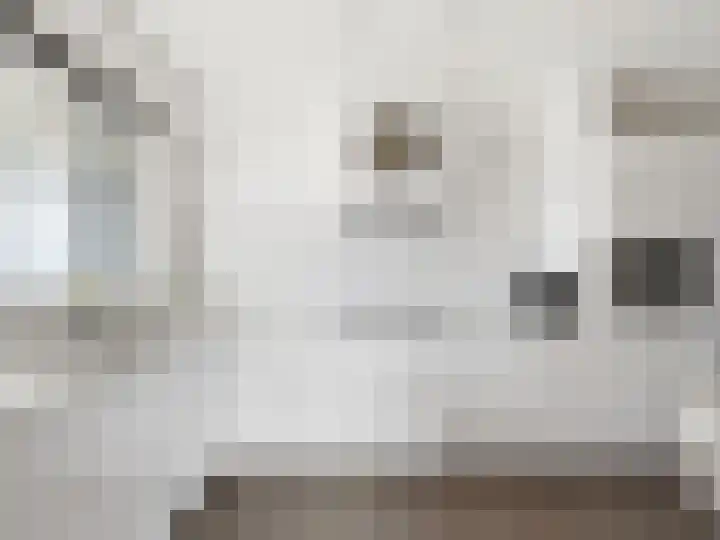 Emmalaan 3 Zutphen thumbnail 10
