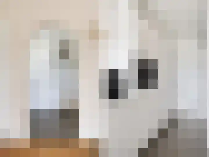 Emmalaan 3 Zutphen thumbnail 13