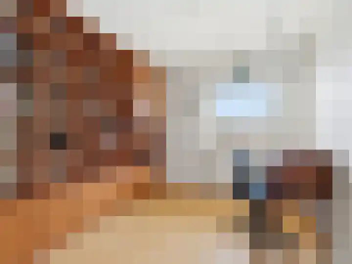 Emmalaan 3 Zutphen thumbnail 24