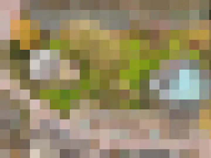 Emmalaan 3 Zutphen thumbnail 34
