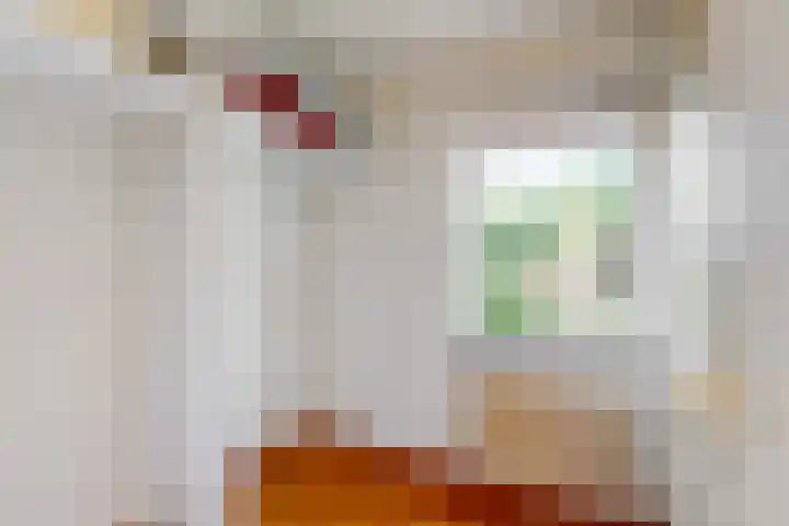 Emmalaan 30 Hoorn thumbnail 19