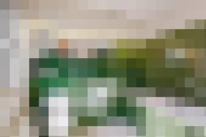 Emmalaan 30 Hoorn thumbnail 25