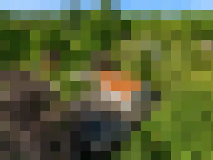 Emmalaan 30 Hoorn thumbnail 28