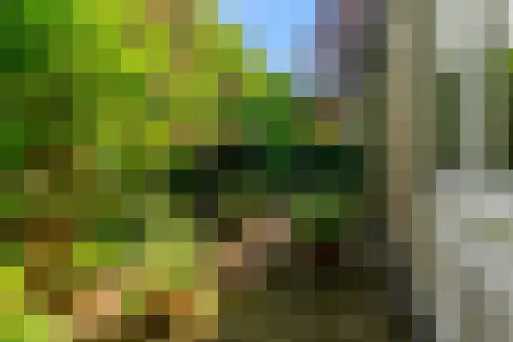Emmalaan 30 Hoorn thumbnail 29