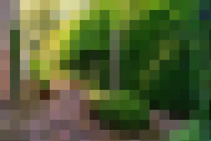 Emmalaan 30 Hoorn thumbnail 30
