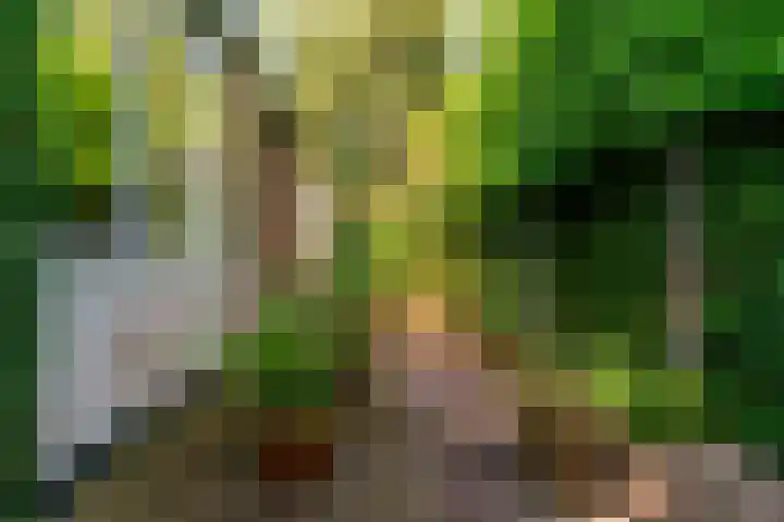 Emmalaan 30 Hoorn thumbnail 31