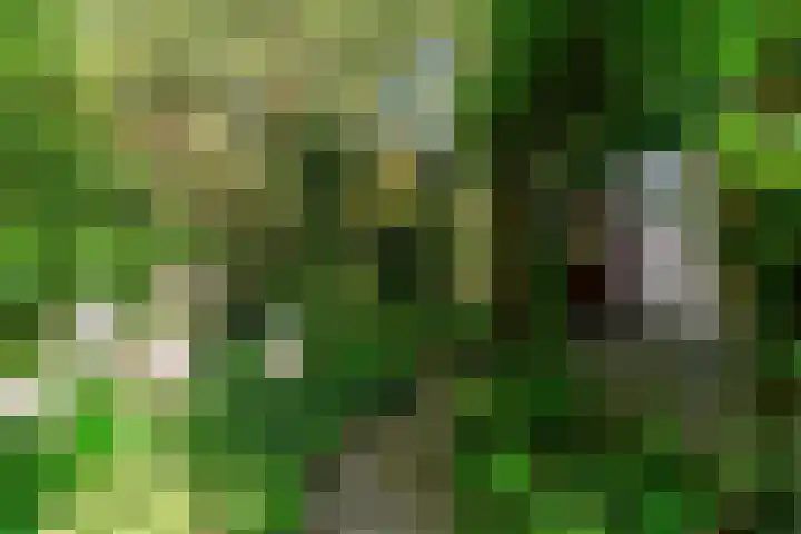 Emmalaan 30 Hoorn thumbnail 32