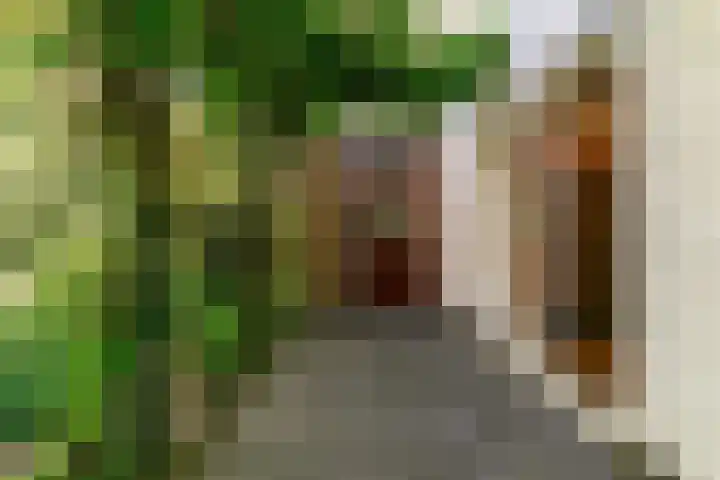 Emmalaan 30 Hoorn thumbnail 33