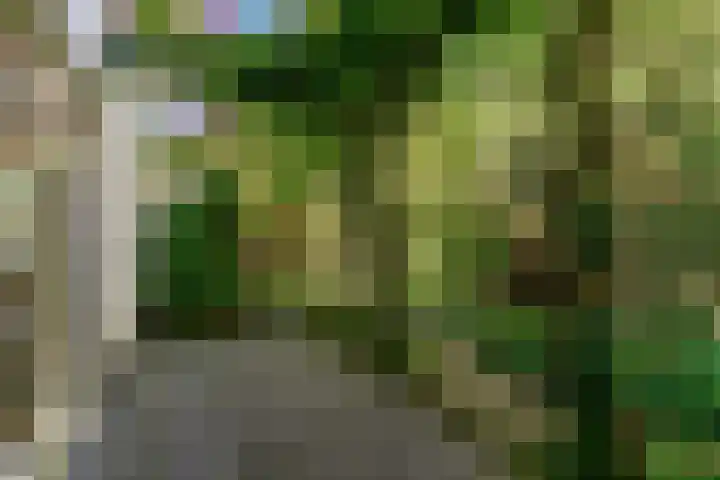 Emmalaan 30 Hoorn thumbnail 34