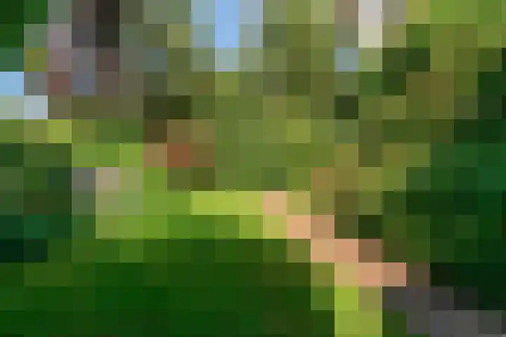 Emmalaan 30 Hoorn thumbnail 36