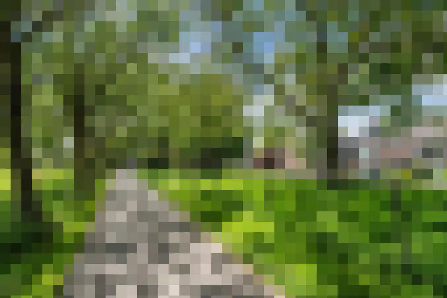 Emmalaan 30 Woubrugge thumbnail 34