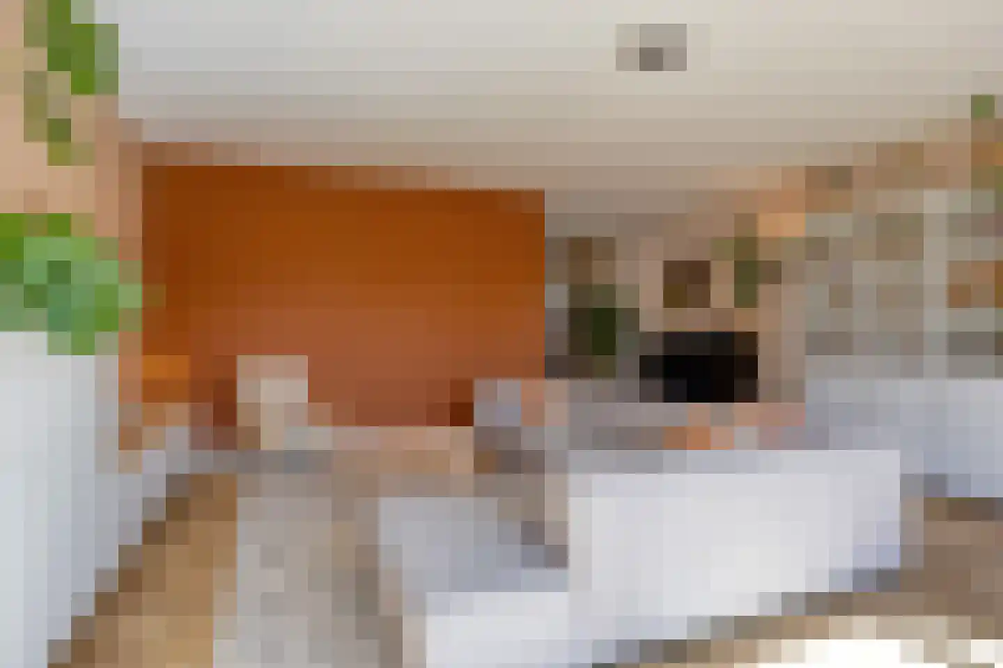 Emmalaan 30 Zuidhorn thumbnail 10