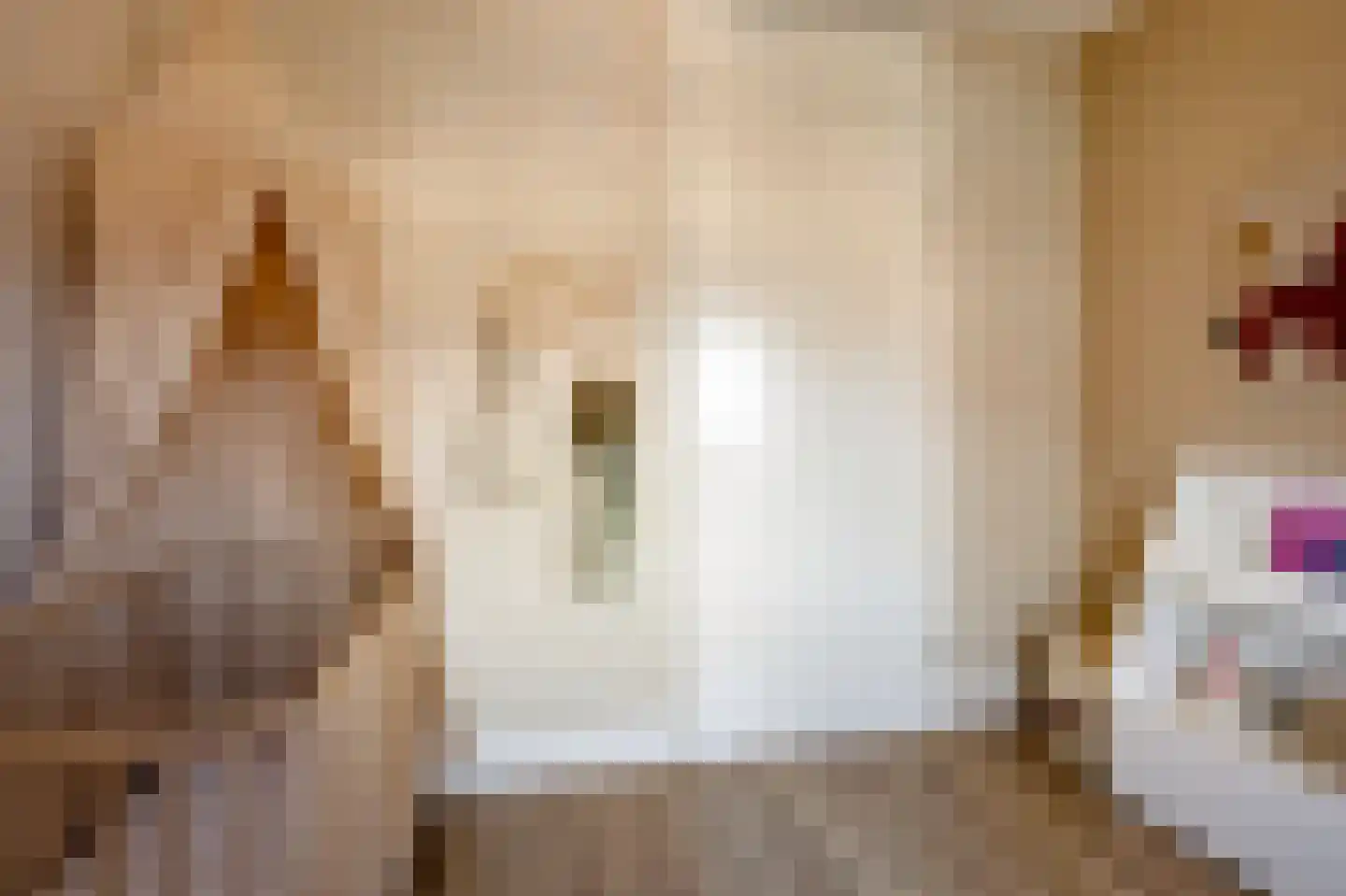 Emmalaan 30 Zuidhorn thumbnail 13