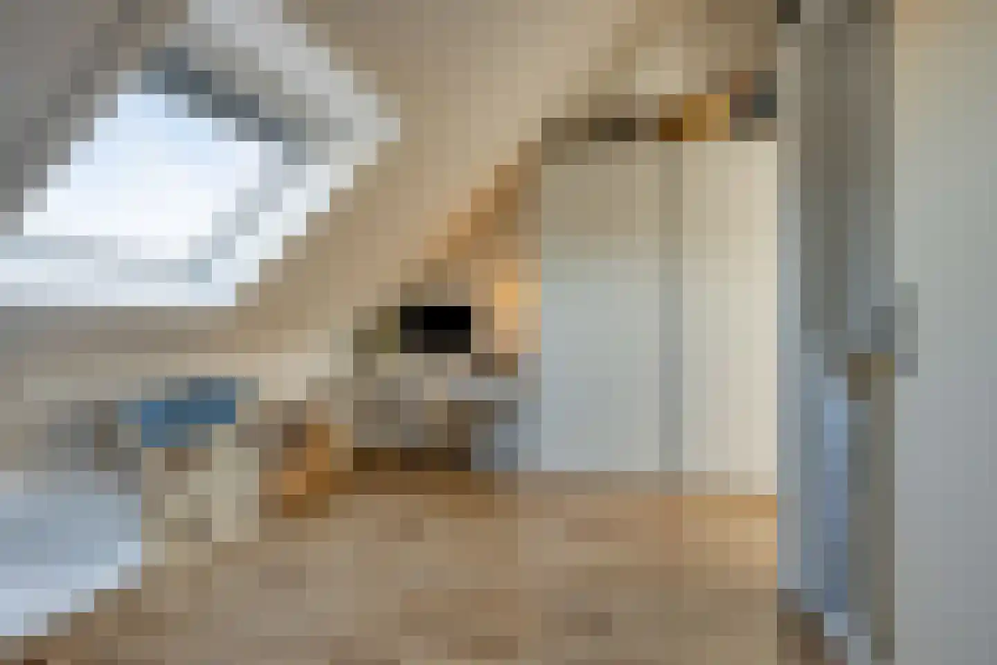 Emmalaan 30 Zuidhorn thumbnail 18