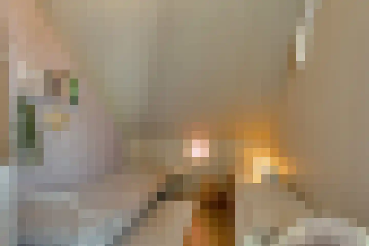 Emmalaan 30 Zuidhorn thumbnail 23