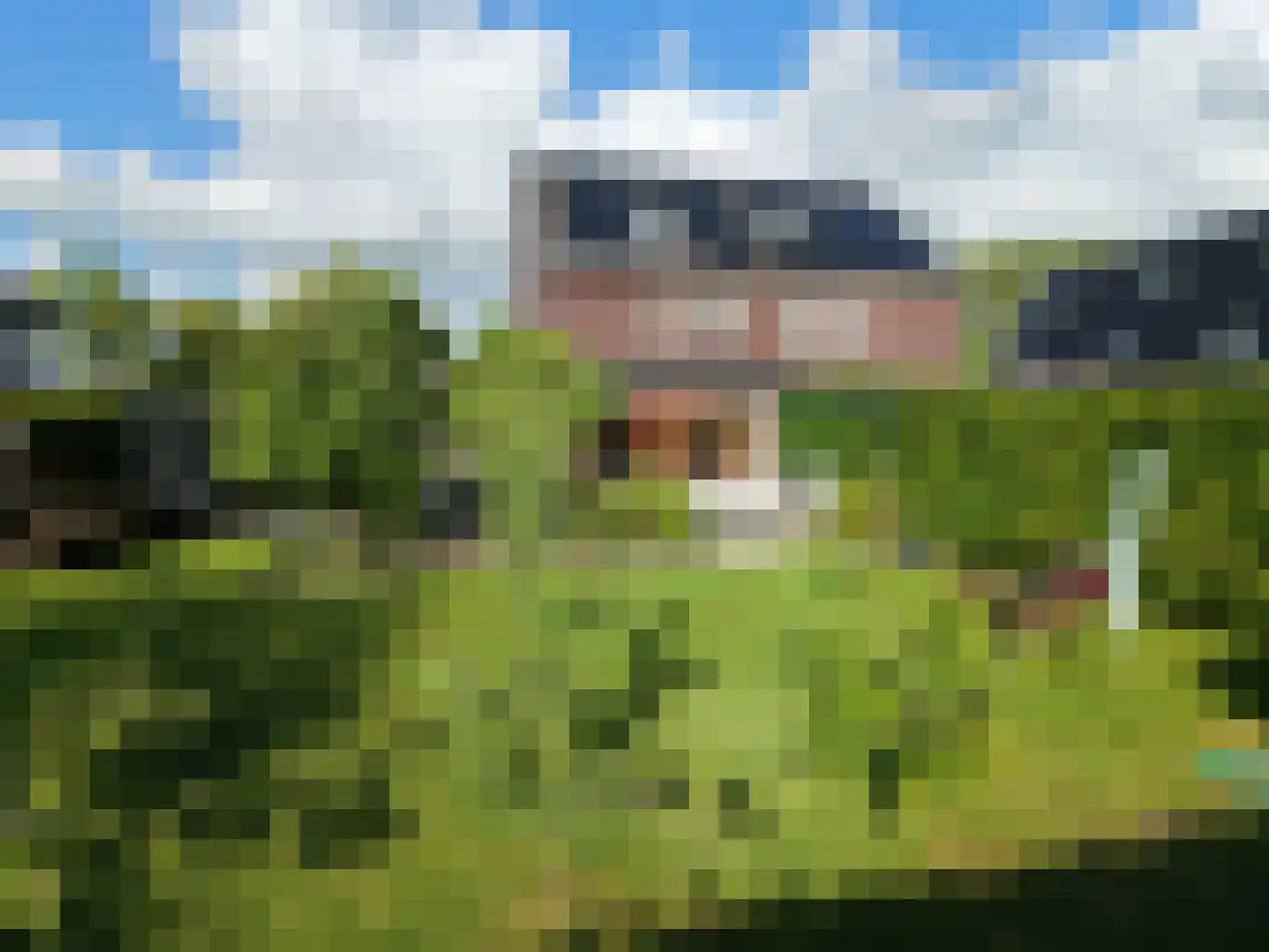 Emmalaan 30 Zuidhorn thumbnail 26