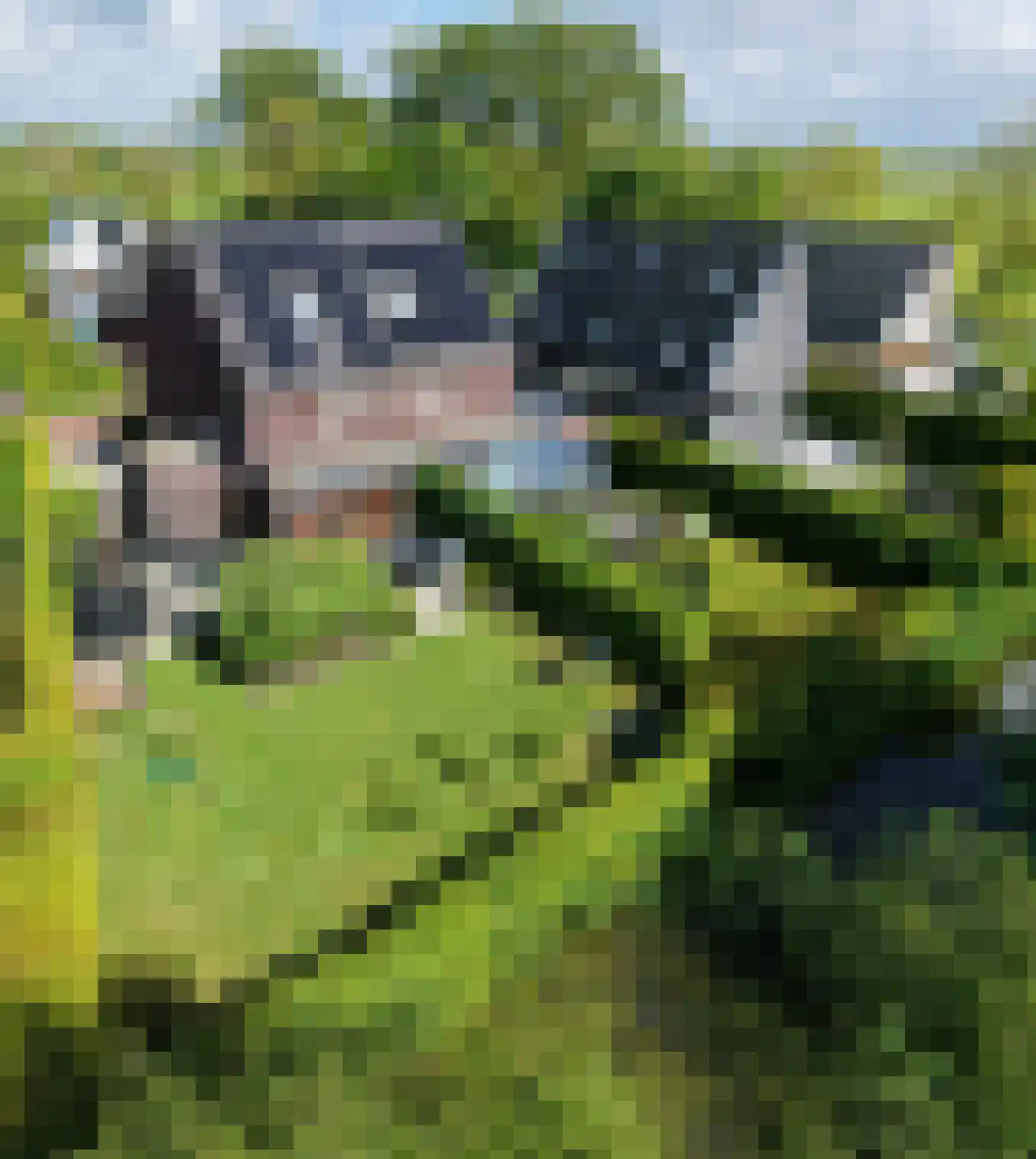 Emmalaan 30 Zuidhorn thumbnail 27