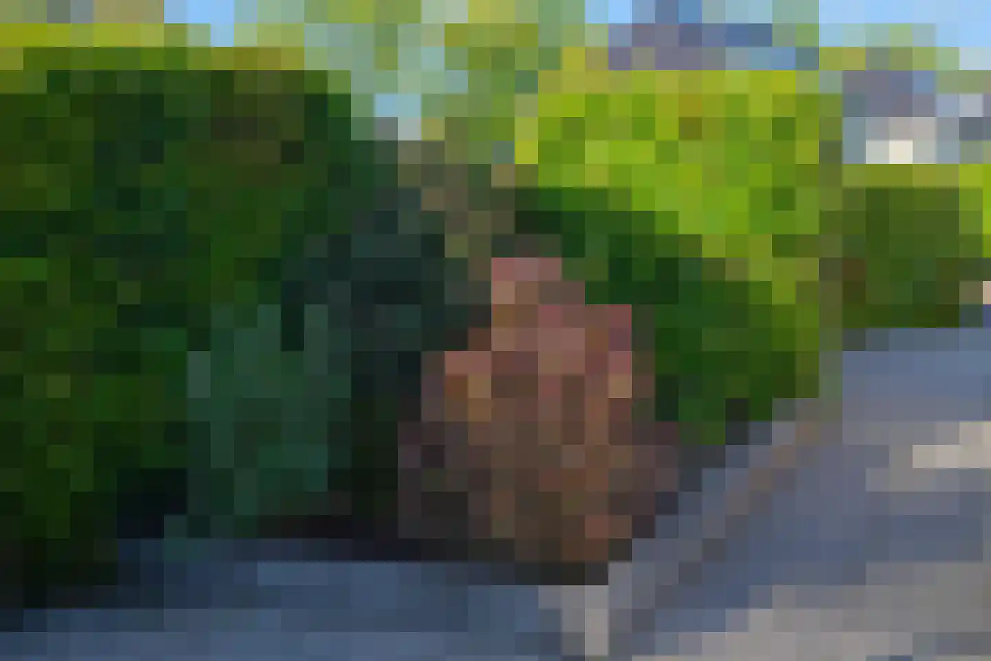Emmalaan 30 Zuidhorn thumbnail 29